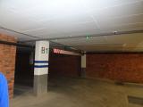DSC00965.jpg