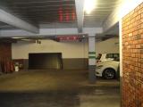 DSC00972.jpg