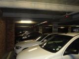 DSC00973.jpg